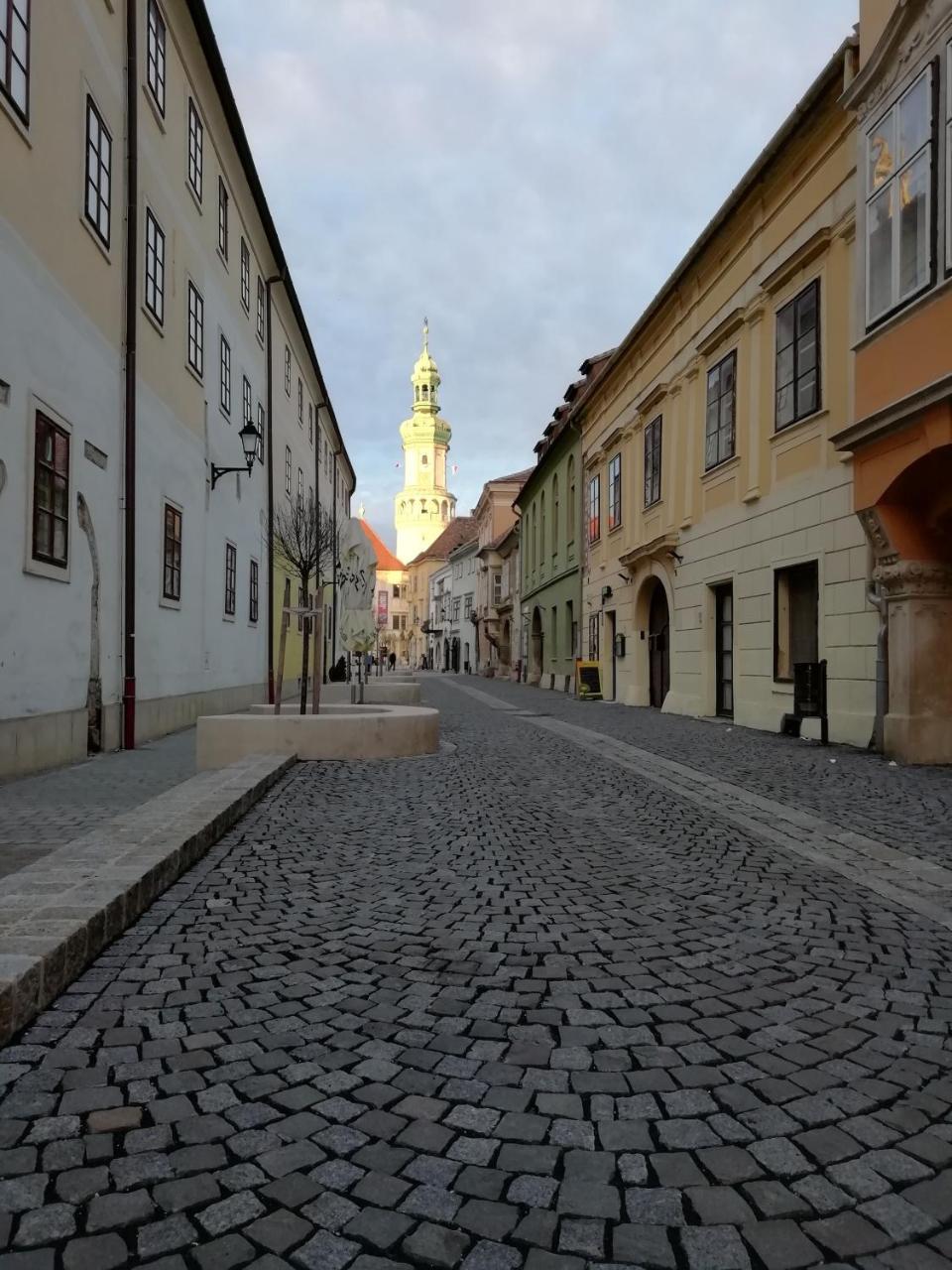 Fueredi Haz Apartman Apartment Sopron Luaran gambar